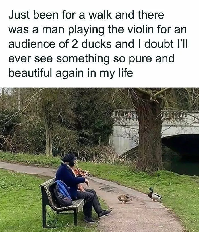 Feathered humor chirp worthy chuckles in the best bird memes - #29 