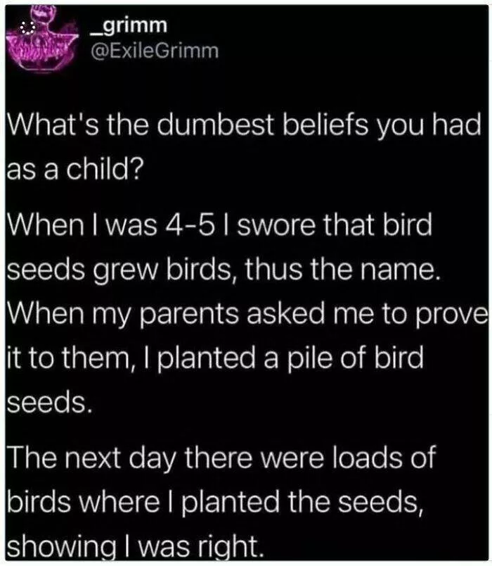 Feathered humor chirp worthy chuckles in the best bird memes - #31 