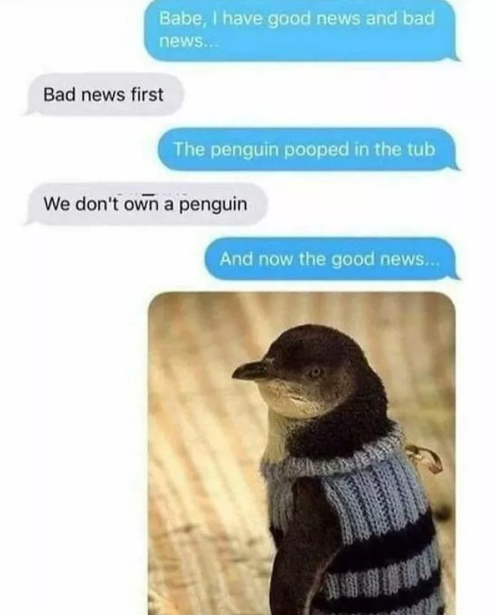 Feathered humor chirp worthy chuckles in the best bird memes - #32 