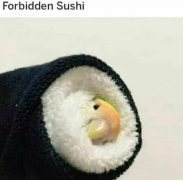 Feathered humor chirp worthy chuckles in the best bird memes - #4 