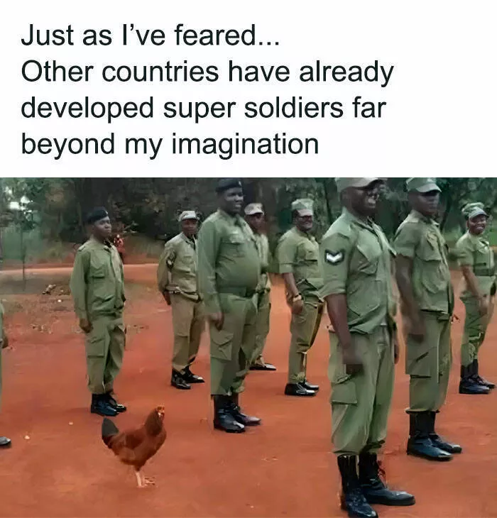 Feathered humor chirp worthy chuckles in the best bird memes - #6 