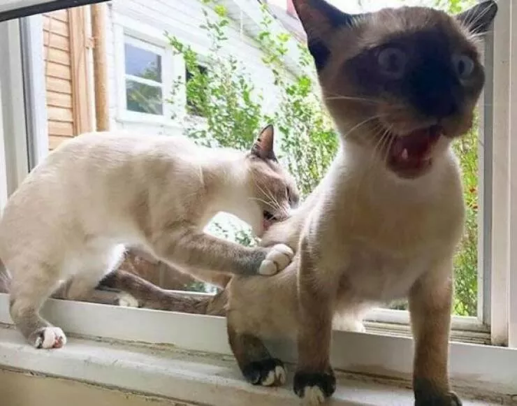 Picdump 803 - #29 