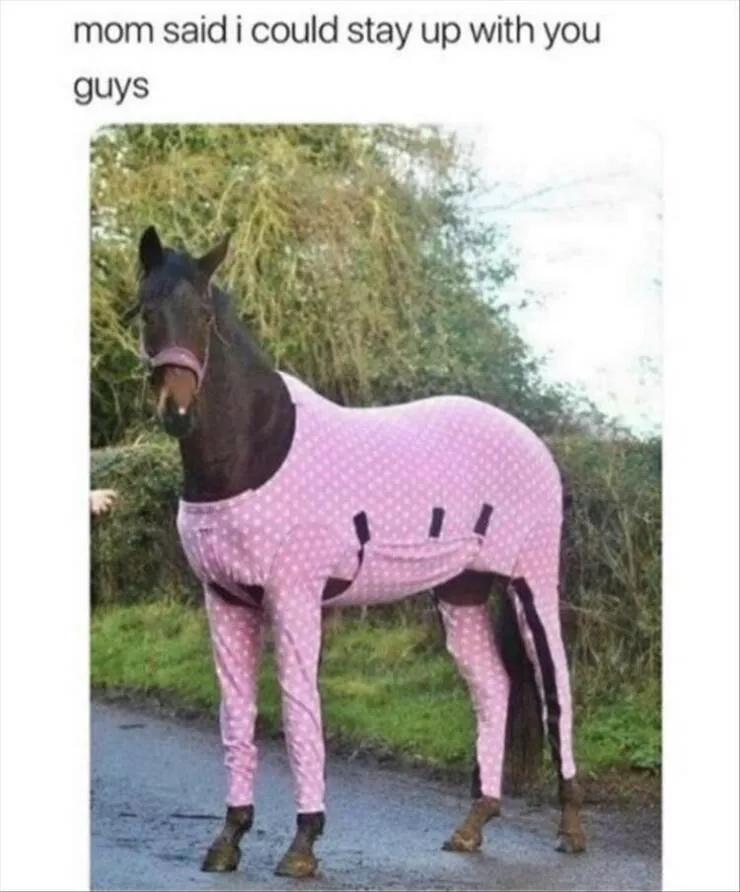 Picdump 804 - #32 