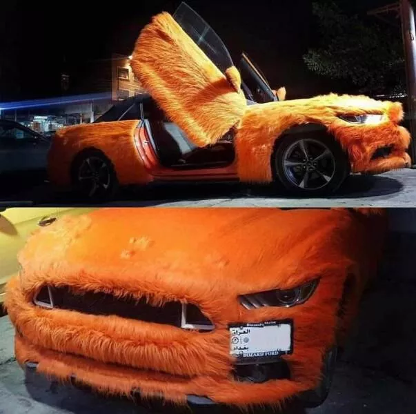 Picdump 805 - #11 