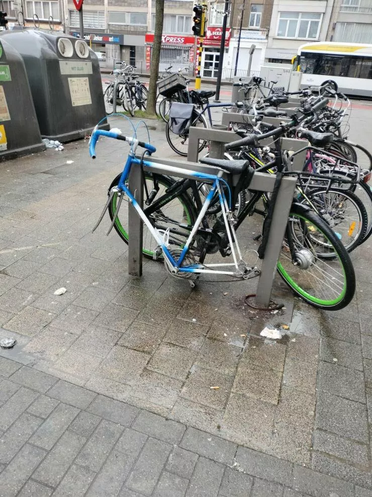 Picdump 805 - #8 