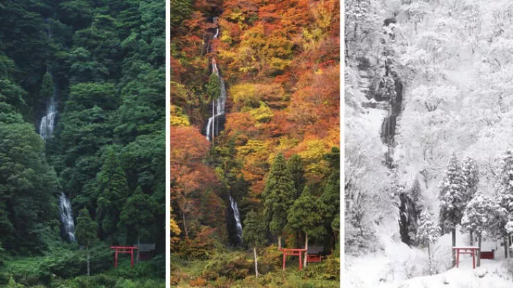 Japan unveiled exploring the uniqueness of a fascinating country - #19 