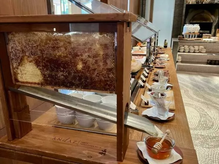 Le japon devoile exploration de lunicite dun pays fascinant - #27 Distributeur de miel frais au petit-déjeuner d'un hôtel au Japon