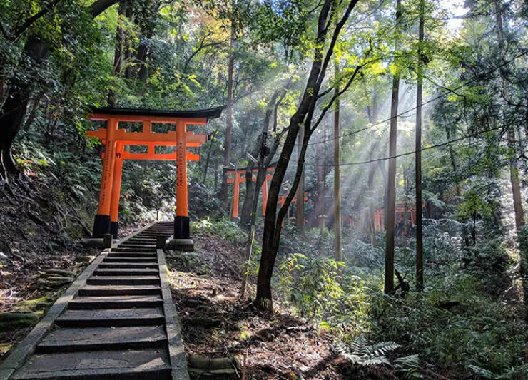 Le japon devoile exploration de lunicite dun pays fascinant - #30 Évitant la foule à Kyoto et capturant cette photo