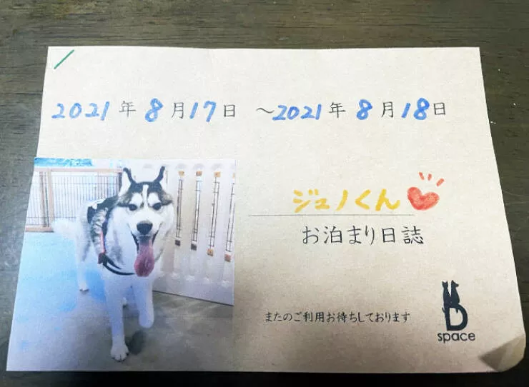 Le japon devoile exploration de lunicite dun pays fascinant - #36 Hôtel pour animaux : un journal de séjour offert aux propriétaires