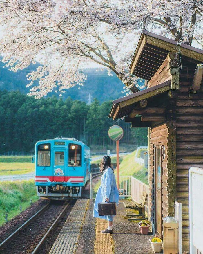 Le japon devoile exploration de lunicite dun pays fascinant - #42 Vie quotidienne à la campagne au Japon