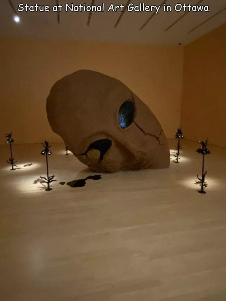 Picdump 806 - #48 