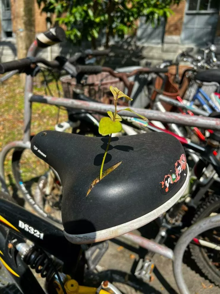 Picdump 806 - #9 