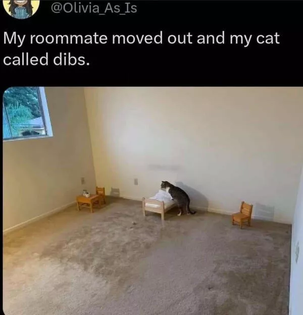 Hilarious antics unleashed brace yourself for uncontrollable laughter - #45 
