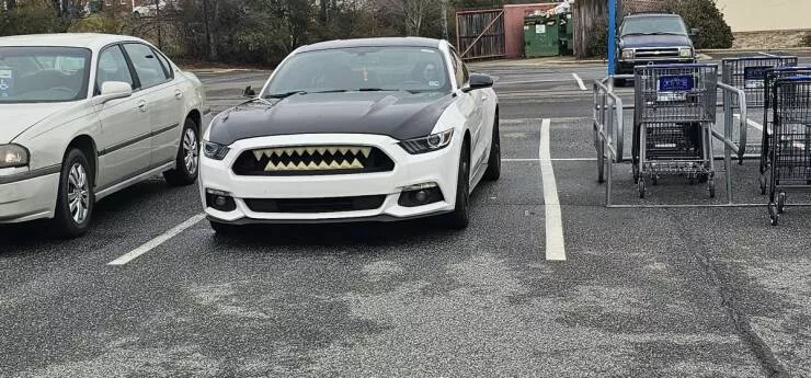Adventurous wheels embark on a journey exploring the world of crazy vehicles - #33 