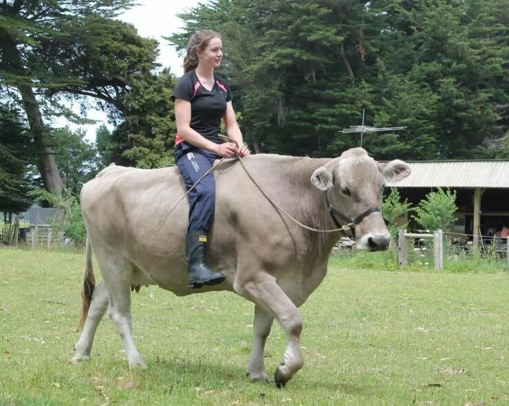 Picdump 808 - #18 Picdump 808 - #18