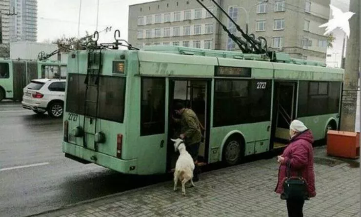 Picdump 808 - #29 
