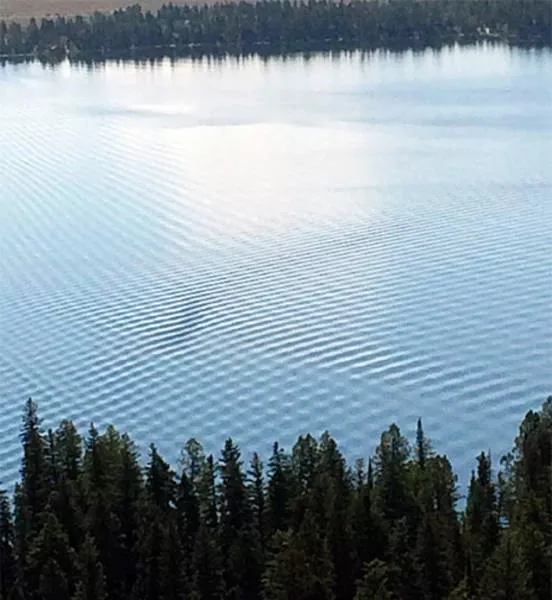 The most perfect images on the web - #27 