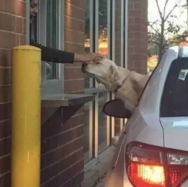 Picdump 809 - #13 