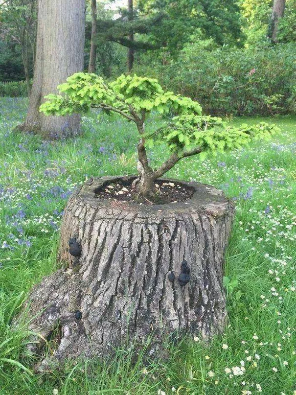 Picdump 809 - #18 