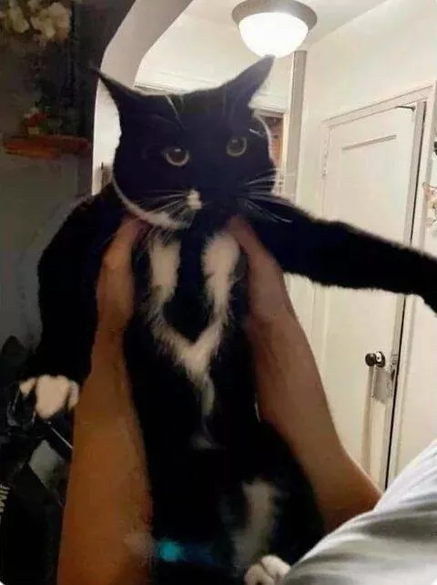 Picdump 809 - #8 