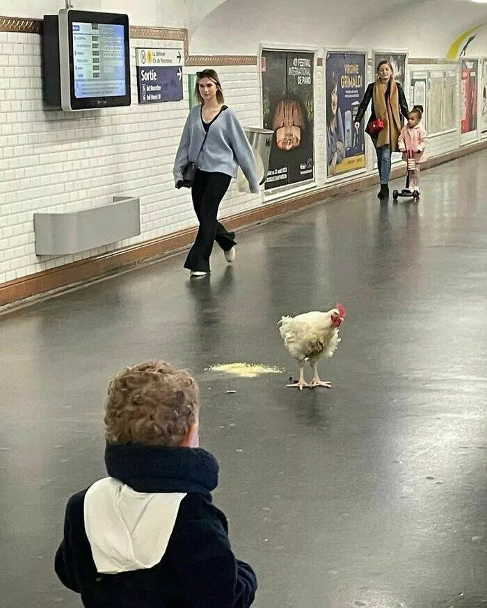 Subway surprises unforgettable moments unfold in metro madness paris edition - #36 