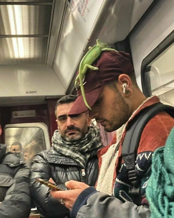 Subway surprises unforgettable moments unfold in metro madness paris edition - #37 