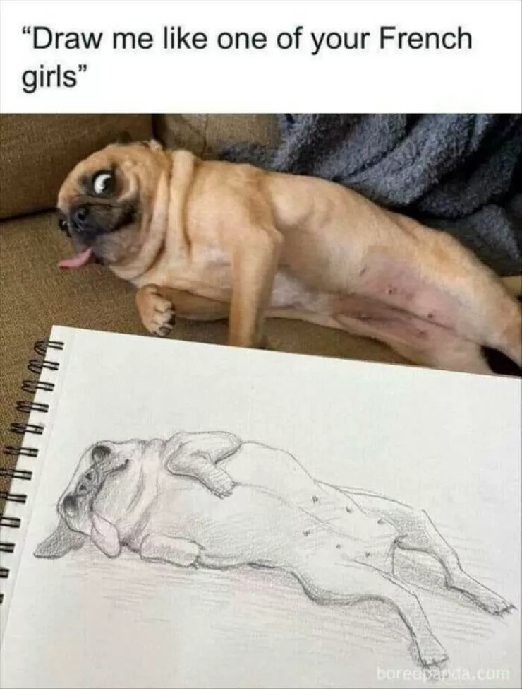 Picdump 810 - #14 