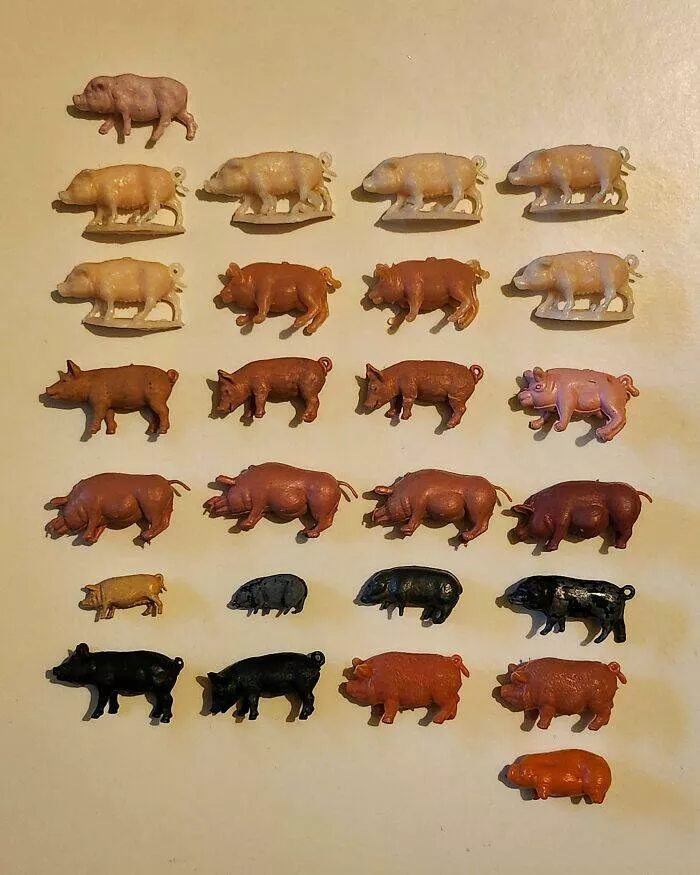Quirky chronicles the evolution of unexpected obsessions into serious collections