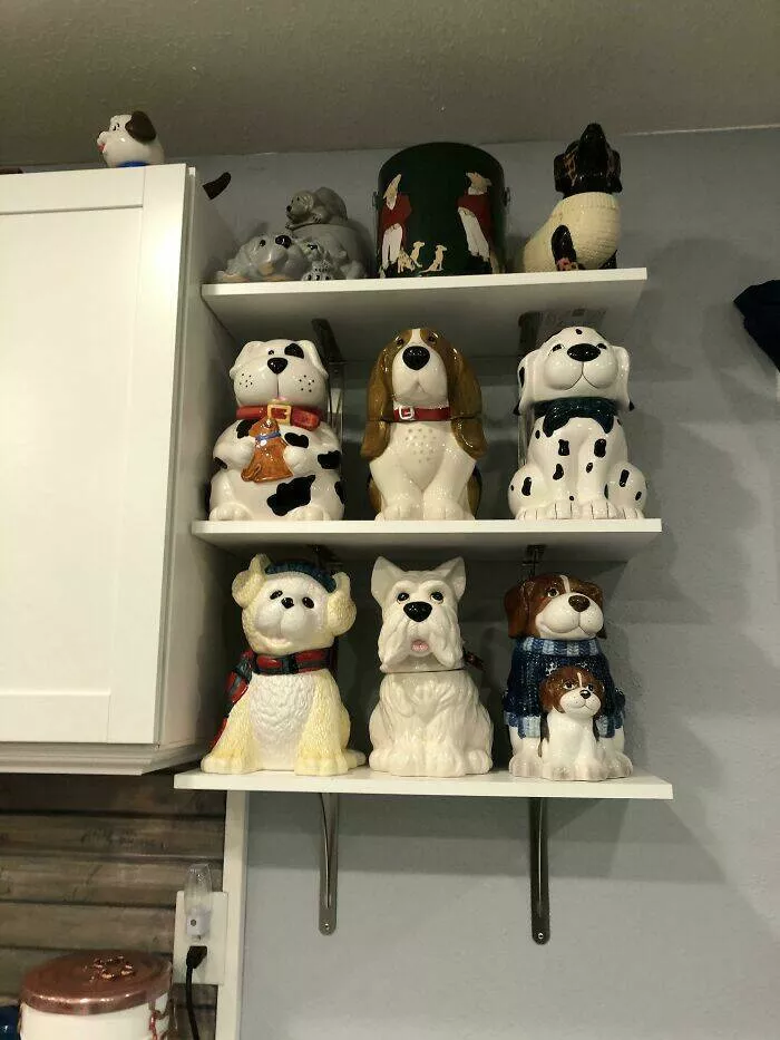 Quirky chronicles the evolution of unexpected obsessions into serious collections - #33 I collect dog-themed cookie jars.
