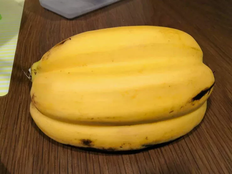 Merveilles florales devoiler levolution unique de la flore fasciee - #14 Ces Bananes Sont Jointes Ensemble.