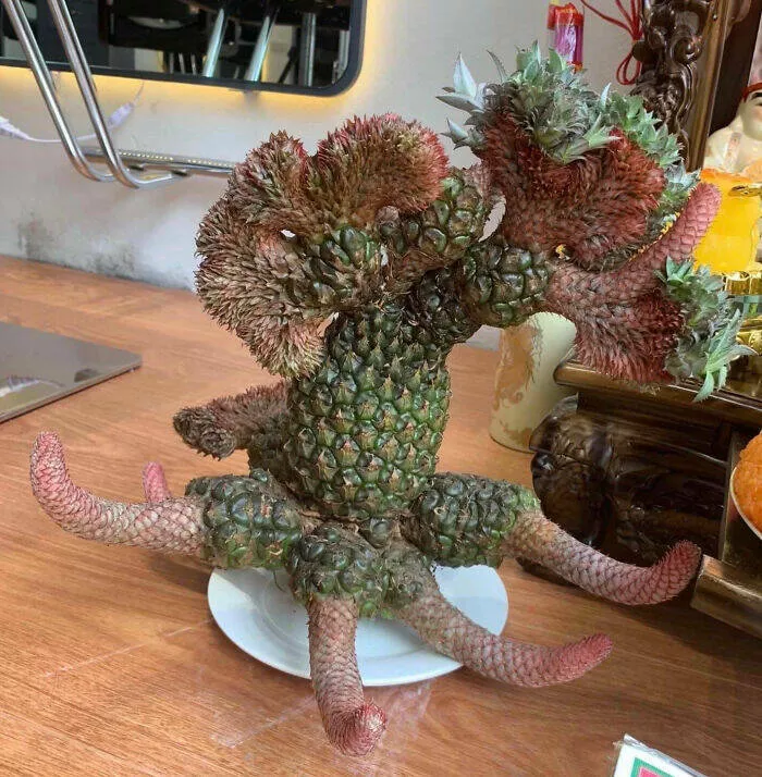 Floral wonders unveiling the unique evolution of fasciated flora - #8 A Peculiar Pineapple Exhibiting Cresting, Also Known as Fasciation