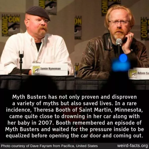 Curiosities unleashed unearth the strangest weird facts about our world - #1 