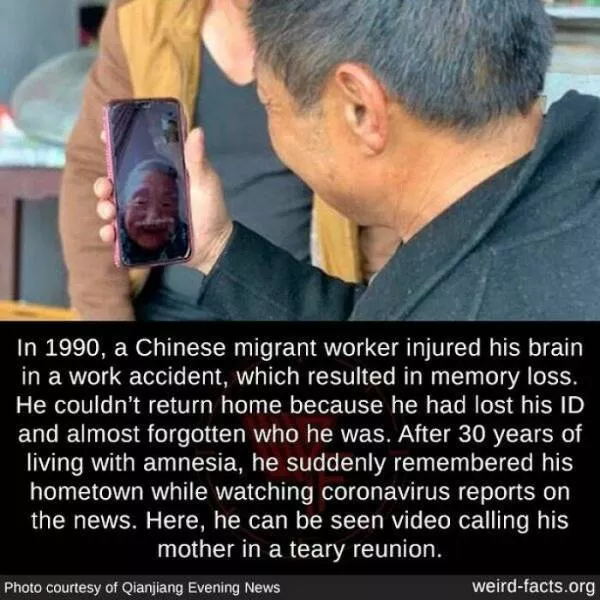 Curiosities unleashed unearth the strangest weird facts about our world - #17 