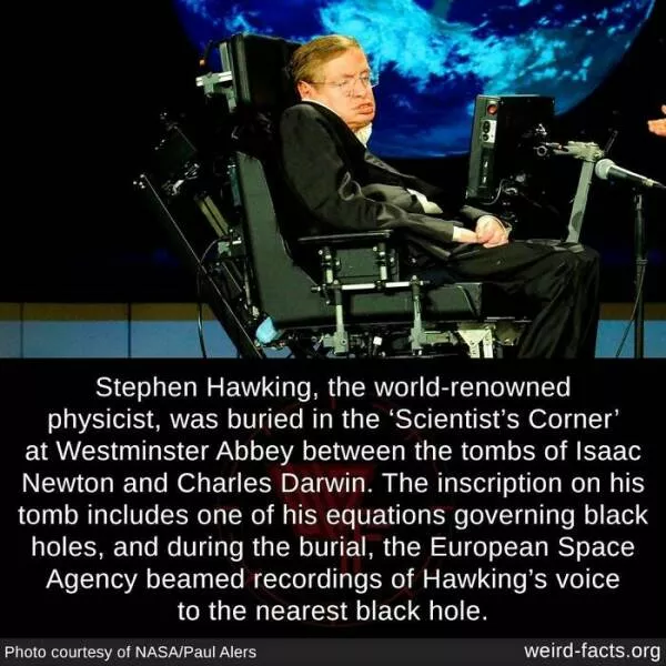 Curiosities unleashed unearth the strangest weird facts about our world - #19 
