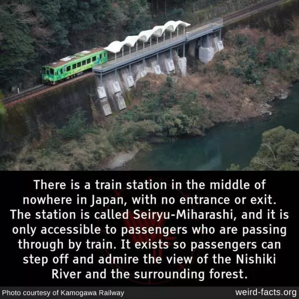 Curiosities unleashed unearth the strangest weird facts about our world - #21 