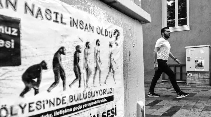 Urban elegance street serendipity in captivating photographs where timing steals the show - #13 