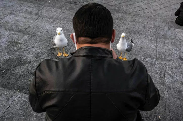 Elegance urbaine la serendipite des rues dans des photos captivantes ou le timing vole la vedette - #17 
