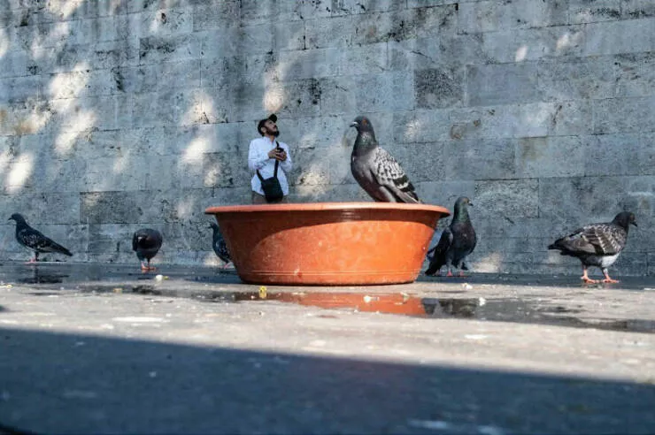 Elegance urbaine la serendipite des rues dans des photos captivantes ou le timing vole la vedette - #22 