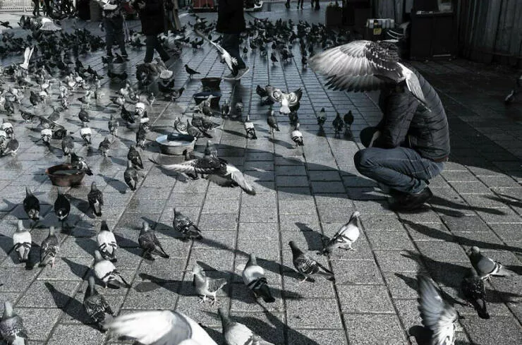 Urban elegance street serendipity in captivating photographs where timing steals the show - #5 