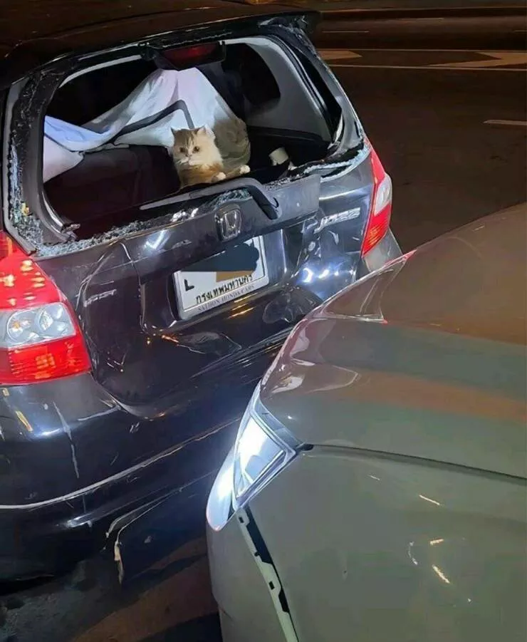 Picdump 814 - #8 