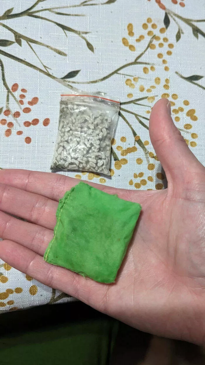 Puzzling enigmas unveiling the mystery objects that left everyone scratching their heads - #11 Found at tide pools - green nylon pouch with a Ziploc bag of mystery stuff