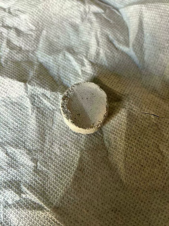 Puzzling enigmas unveiling the mystery objects that left everyone scratching their heads - #12 Found in my backyard. It is chalky and will rub off if you run your finger on it. Because of my dogs, really just want to make sure it's not some kind of poison. Thanks!