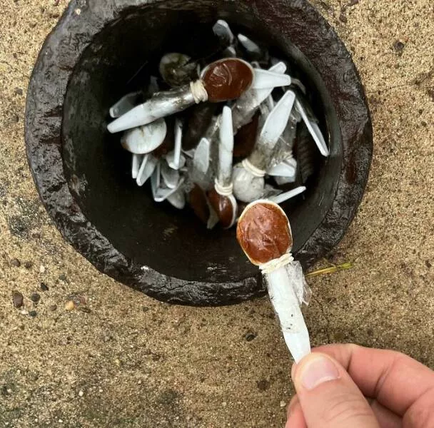 Enigmes deconcertantes revelation des objets mysterieux qui ont mis tout le monde perplexe - #42 Petites Cuillères en Plastique avec une Substance Brune, Emballées Individuellement – Trouvées dans un Parc Public Enigmes deconcertantes revelation des objets mysterieux qui ont mis tout le monde perplexe - #42 Petites Cuillères en Plastique avec une Substance Brune, Emballées Individuellement – Trouvées dans un Parc Public