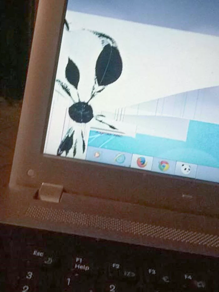 Elever des enfants a lere numerique un guide pour prosperer dans lere digitale - #41 Mon père m'a appelé hier soir en disant qu'il pense avoir un virus sur son ordinateur portable parce qu'une sorte de fleur est apparue sur son écran. Aujourd'hui, il m'a envoyé cette photo