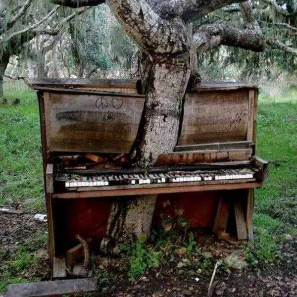 Picdump 815 - #27 