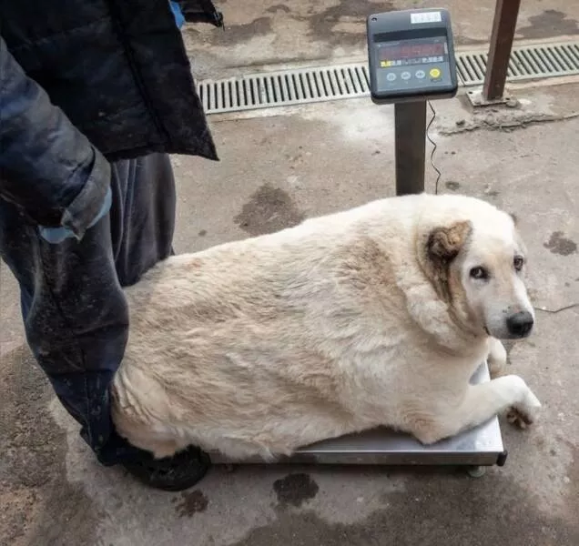 Picdump 815 - #3 