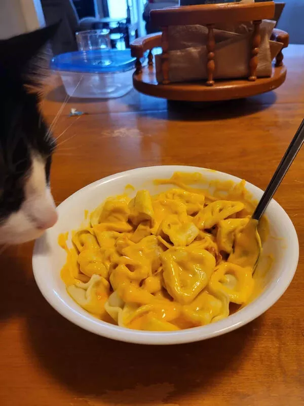 Palate puzzles exploring bizarre food pairings that challenge your taste buds - #16 Instant tortellini and nacho cheese.