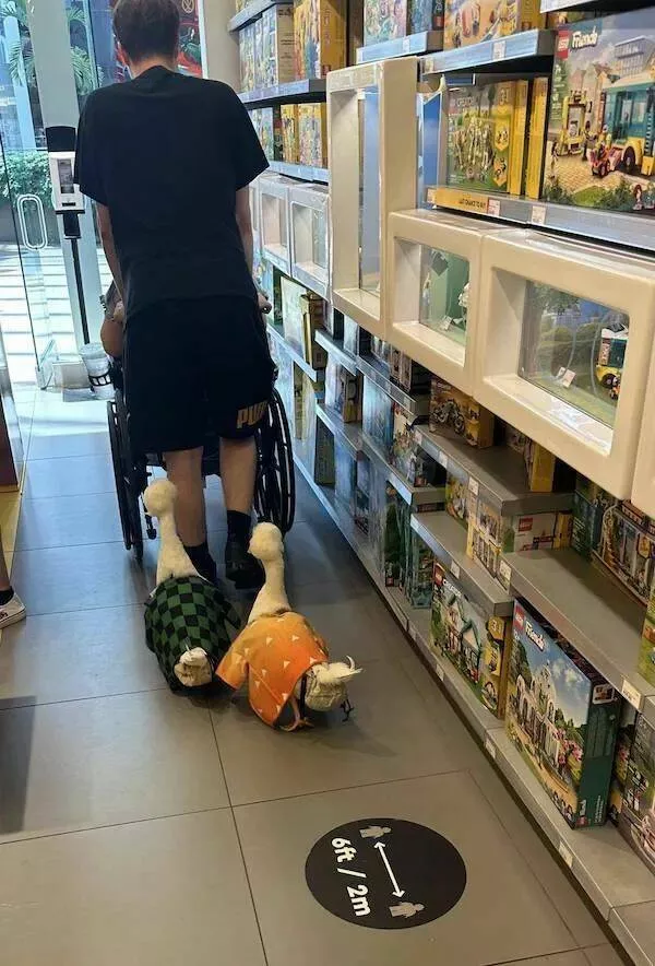 Picdump 816 - #34 