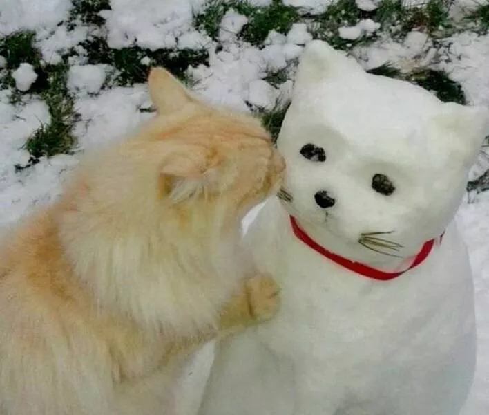 Picdump 816 - #47 