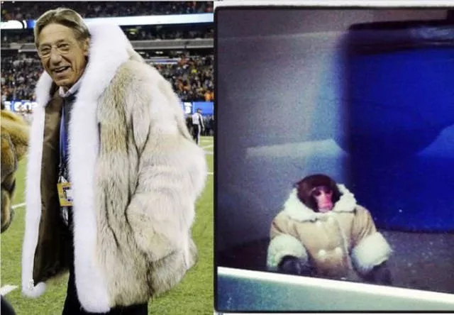 Des ressemblances frappantes entre celebrites - #14 